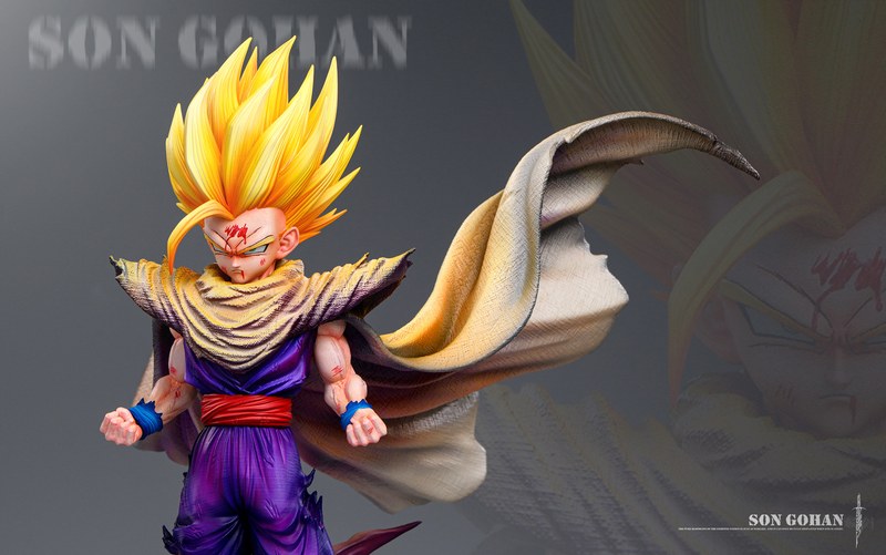 孙悟饭 Son Gohan 七龙珠 官图 5