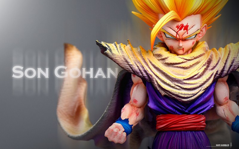 孙悟饭 Son Gohan 七龙珠 官图 6