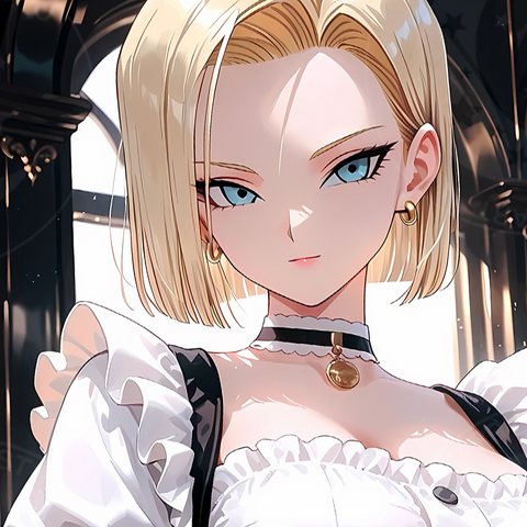《女仆18号》装饰画 七龙珠